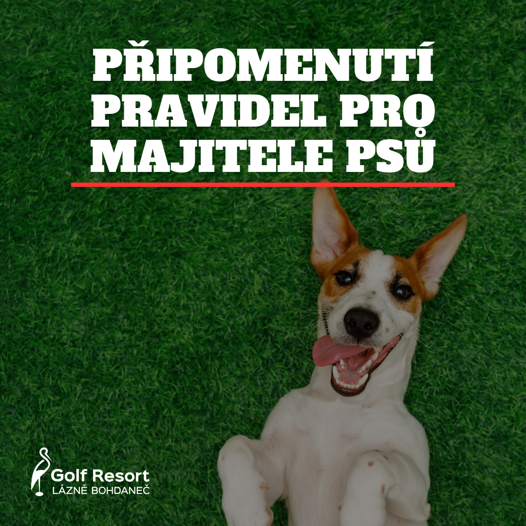 Psi na golfovém hřišti – poslední varování před zákazem